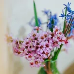 Agroturismo Casa D'augusta - Miranda del Duero