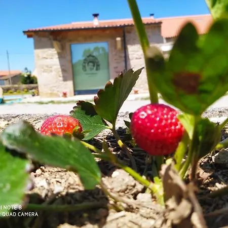 Casa D'augusta - * ミランダ・ド・ドウロ