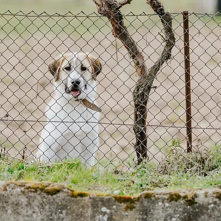 مزرعة للإقامة Casa D'augusta - *