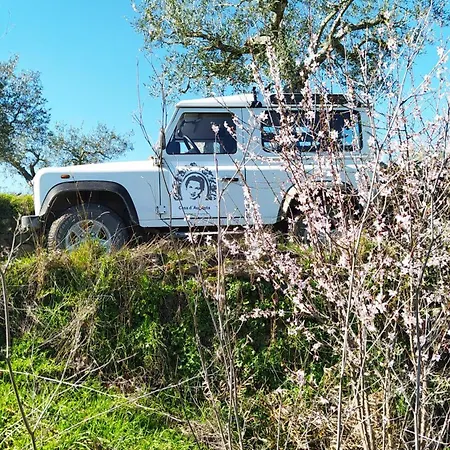 Alojamento de Turismo Rural Casa D'augusta - *