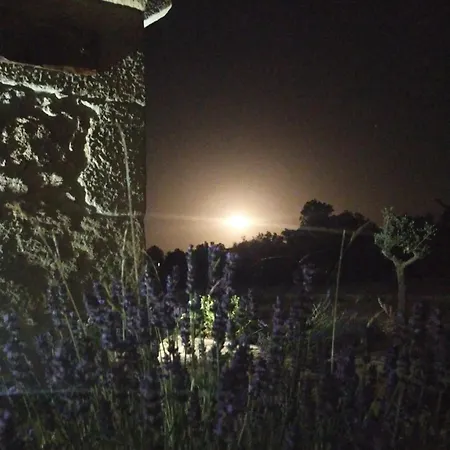 Casa D'augusta - * Miranda do Douro