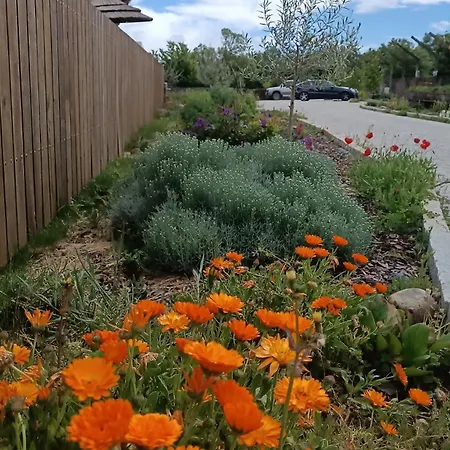 Alojamento de Turismo Rural Casa D'augusta - Miranda do Douro