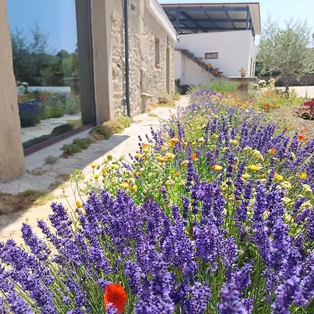 Agroturismo Casa D'augusta - *