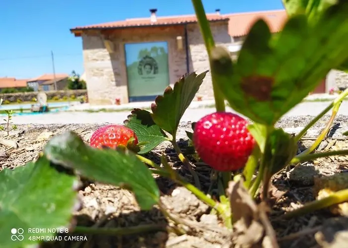 Casa D'augusta - * Miranda do Douro