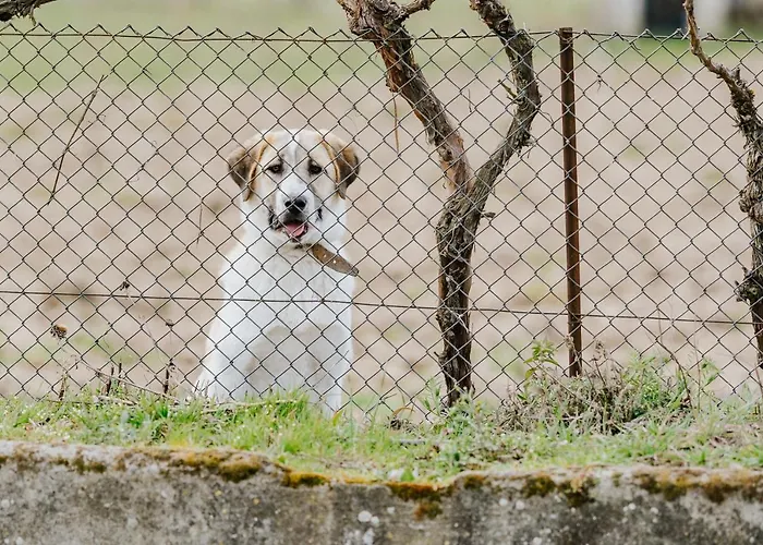 Farm stay Casa D'augusta - *