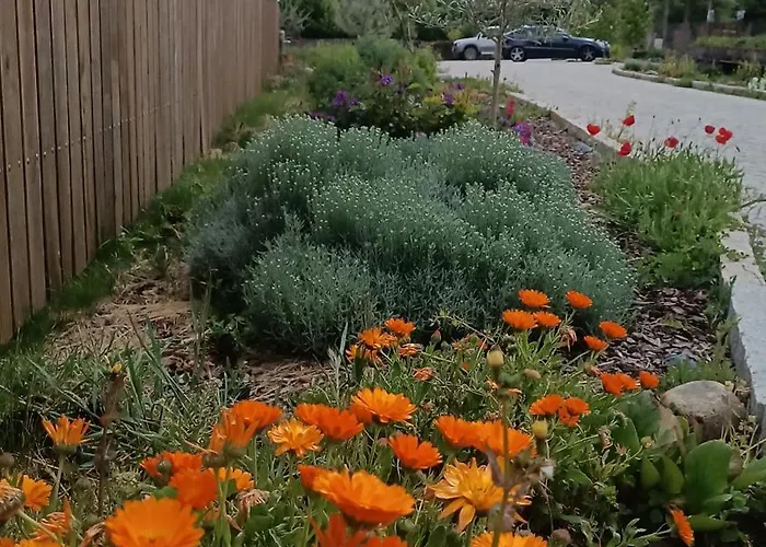 Séjour à la ferme Casa D'augusta - Miranda do Douro
