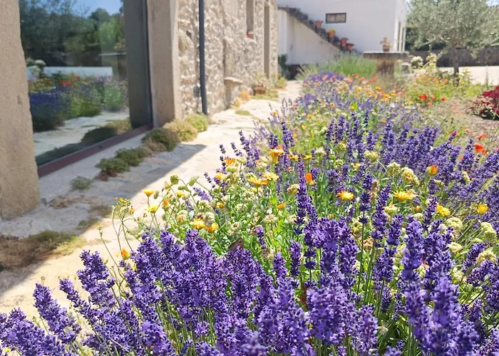 Gospodarstwo agroturystyczne Casa D'augusta - *